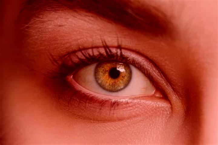 Clara, 28, a blonde hazel-eyed mixed companion based in Garganta de los Montes. Offering Fetish, 69, Travel Companion. Available for incall and outcall, day ...