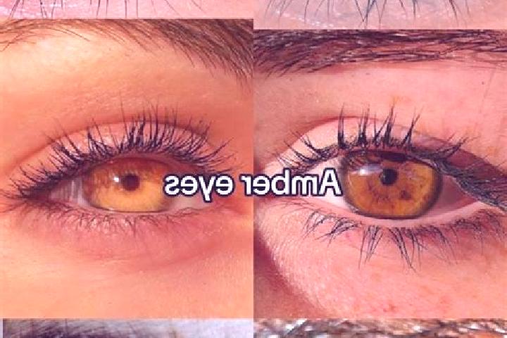 Clara, 29, a brunette amber-eyed middle eastern companion based in Serrada. Offering GFE, OWO, Striptease. Available for incall and outcall, day and evening ...