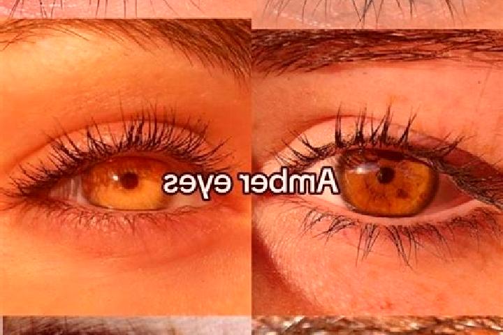 Clara, 29, a chestnut amber-eyed slavic companion based in El Salitral. Offering Erotic Massage, BDSM, Girlfriend Experience, Overnight. Available for incall...
