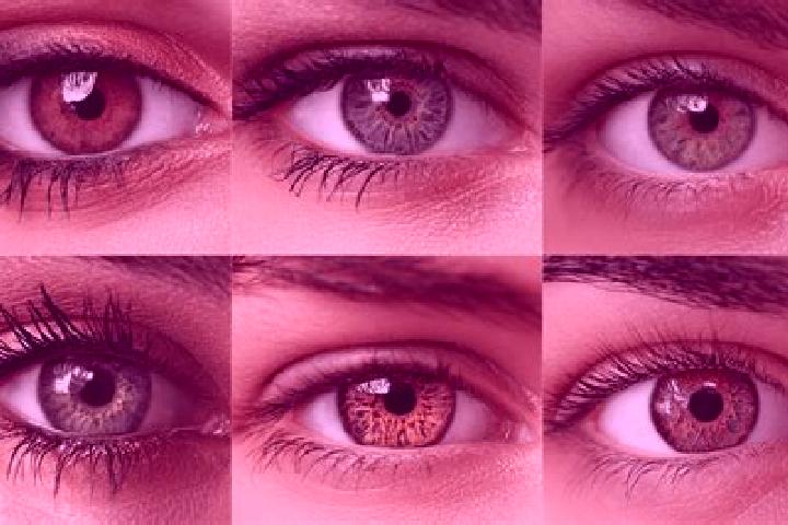 Clara, 29, a red hazel-eyed caucasian companion based in Recani. Offering Girlfriend Experience, OWO, Striptease, A-Level, BDSM. Available for incall and out...