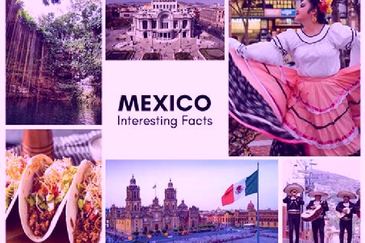 Clara, 29 — Escort in Coyoles, Mexico