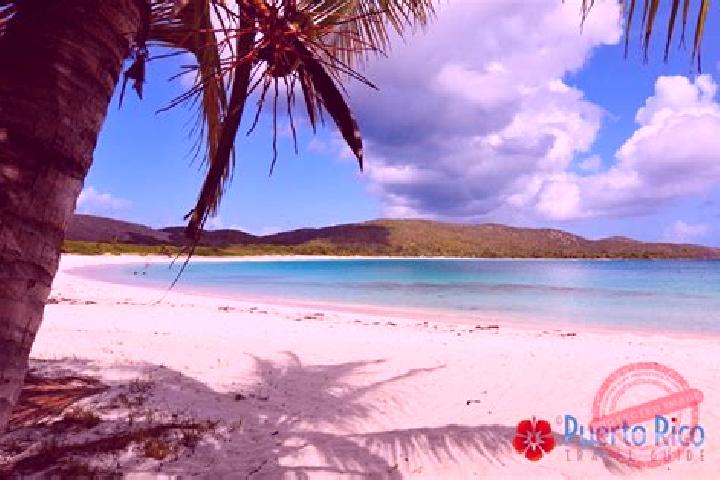 Clara, 29 — Escort in Culebra, Puerto Rico