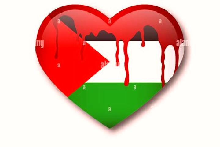 Clara, 29 — Escort in Dhannabah, Palestine