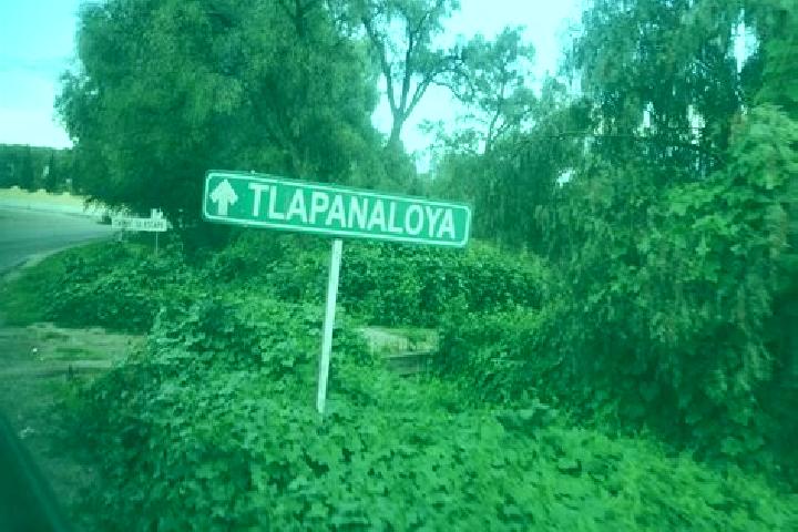 Clara, 29 — Escort in Tlapanaloya, Mexico