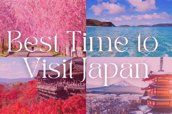 Clara, 31 — Escort in Kinoenishi, Japan