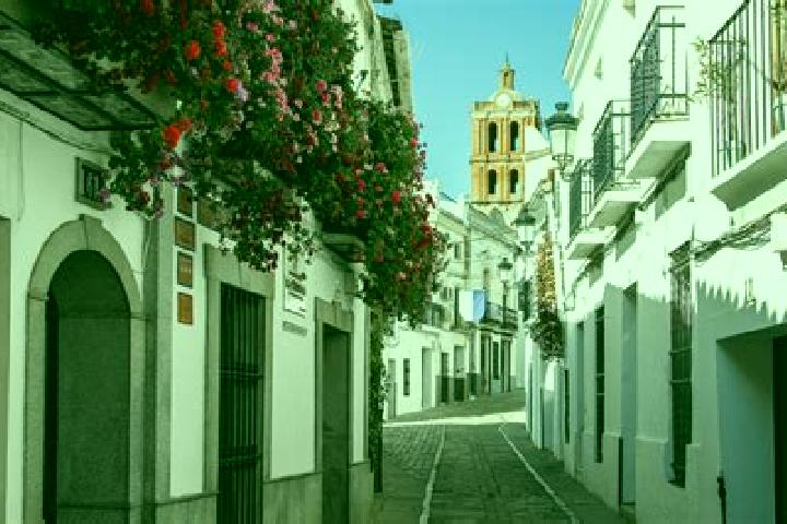 Clara, 31 — Escort in Zafra, Spain
