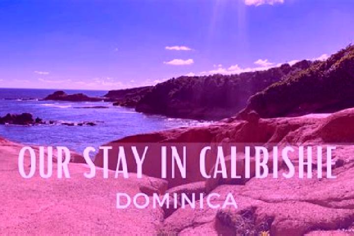 Clara, 32 — Escort in Calibishie, Dominica