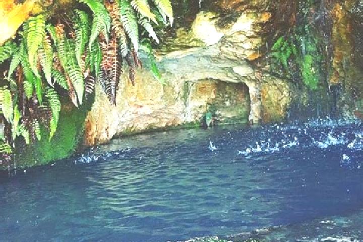 Clara, 32 — Escort in Cerrito de Agua Caliente, Mexico