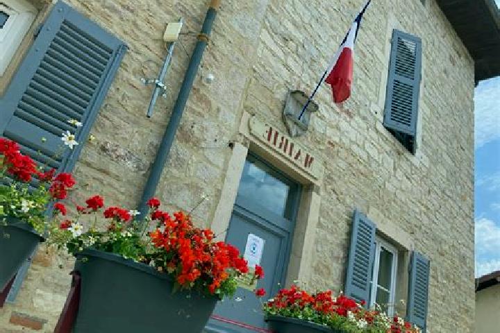 Clara, 32 — Escort in Chavannes-sur-Reyssouze, France