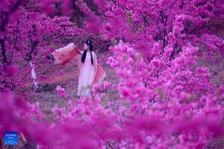 Clara, 32 — Escort in Quchi, China