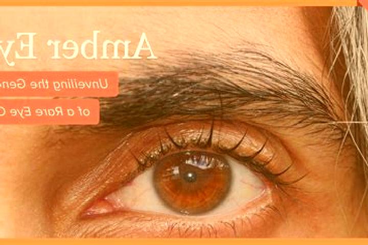 Clara, 33, a black amber-eyed indian companion based in Vierzon. Offering Erotic Massage, Couples, Massage. Available for incall and outcall, day and evening...