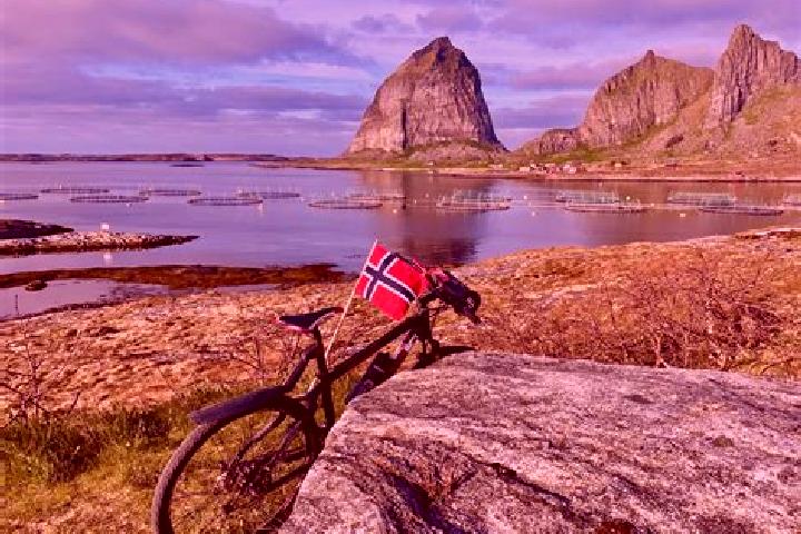 Clara, 33 — Escort in Al, Norway