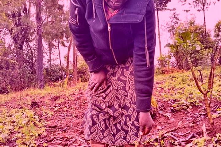 Clara, 33 — Escort in Mairo Inya, Kenya
