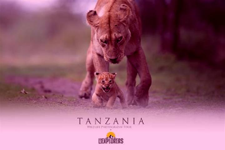 Clara, 33 — Escort in Mtambile, Tanzania