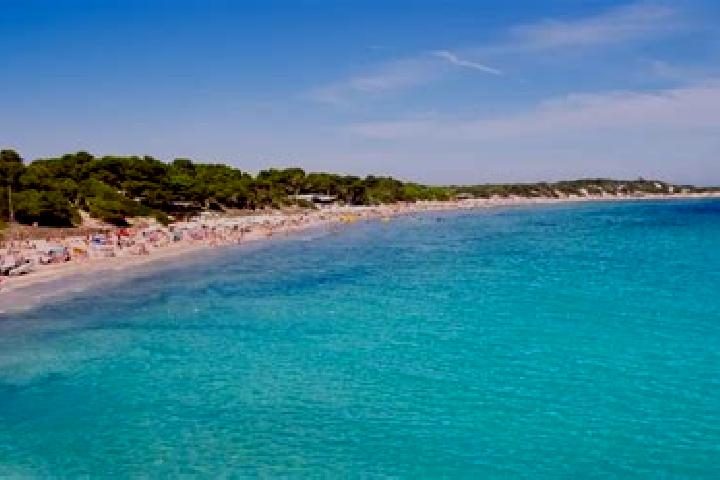 Clara, 33 — Escort in Ses Salines, Spain