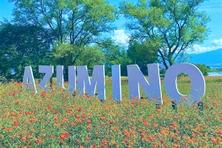 Clara, 34 — Escort in Azumino, Japan