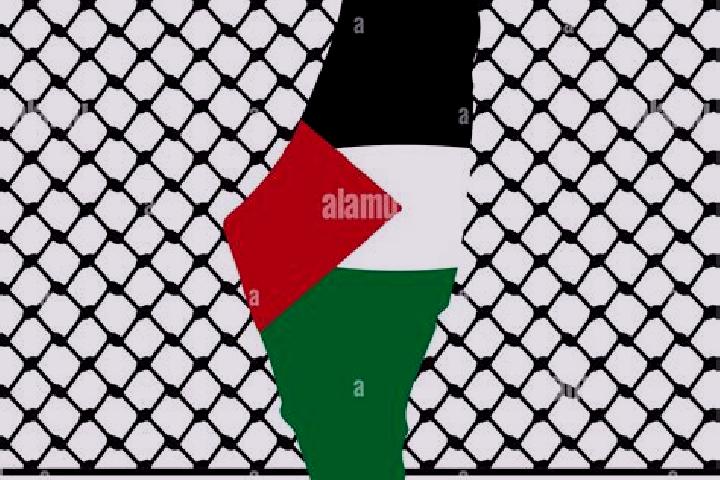 Clara, 34 — Escort in Jit, Palestine