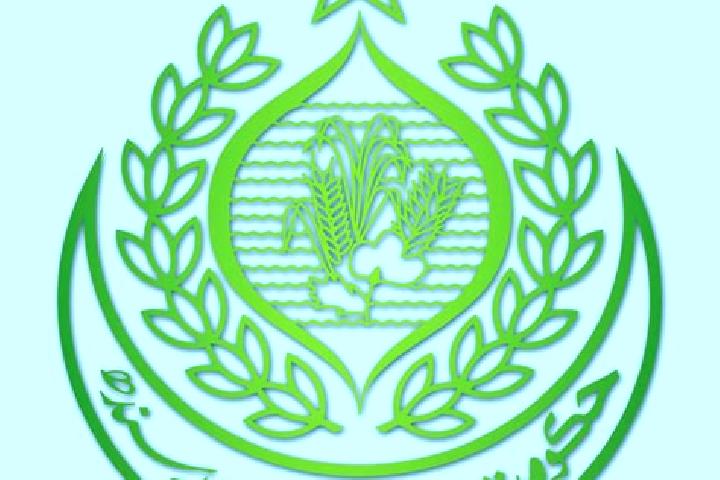 Clara, 34 — Escort in Markaz-e Hukumat-e Darweshan, Afghanistan