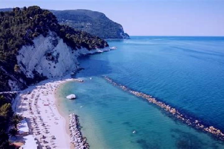 Clara, 35 — Escort in Centobuchi, Italy