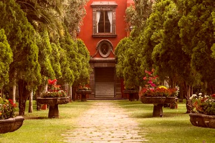 Clara, 35 — Escort in El Jardin, Mexico