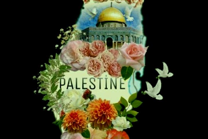 Clara, 35 — Escort in Khuza ah, Palestine