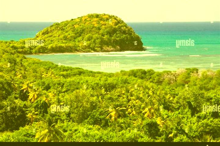 Clara, 35 — Escort in Mon Repos, Saint Lucia