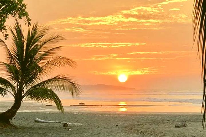 Clara, 35 — Escort in Parrita, Costa Rica