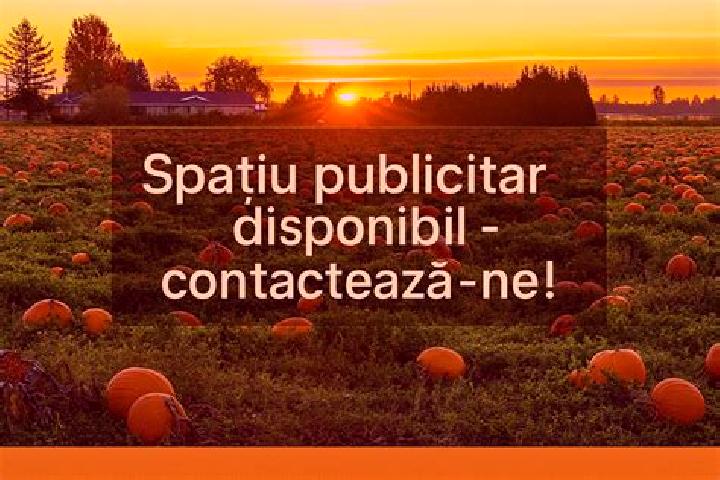 Clara, 36 — Escort in Iazu, Romania
