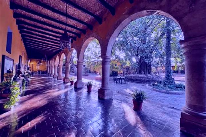 Clara, 36 — Escort in Tepoztlan, Mexico