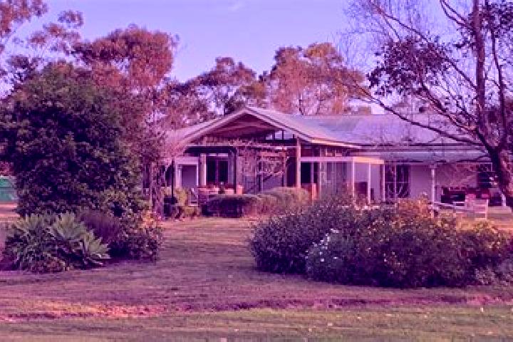 Clara, 37 — Escort in Duns Creek, Australia