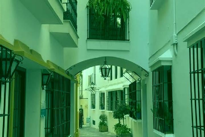 Clara, 37 — Escort in Mocejon, Spain