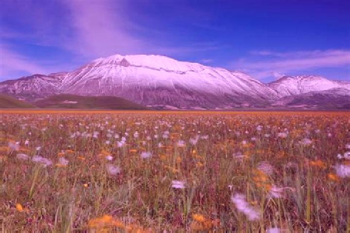 Clara, 38 — Escort in Castelluccio dei Sauri, Italy