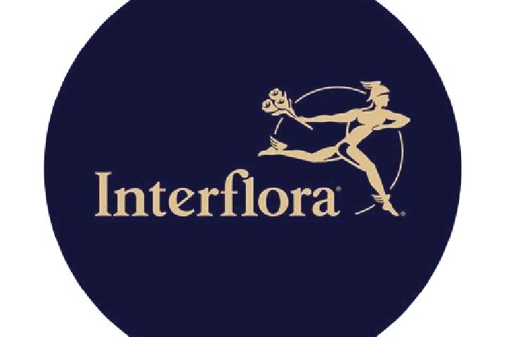 Clara, 38 — Escort in Civrieux, France