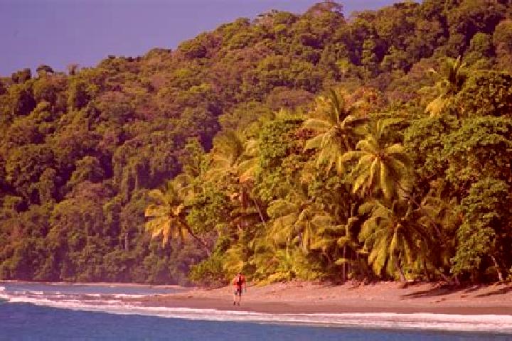 Clara, 38 — Escort in El Corcovado, Mexico