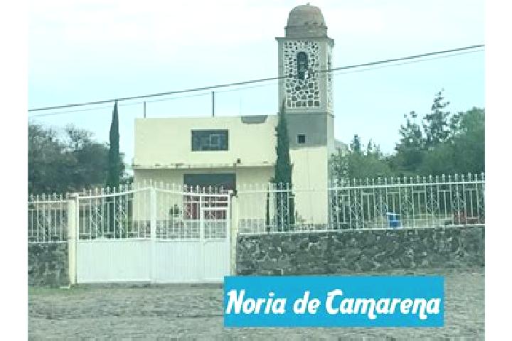 Clara, 38 — Escort in Noria de Camarena, Mexico
