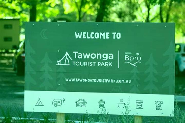 Clara, 38 — Escort in Tawonga, Australia