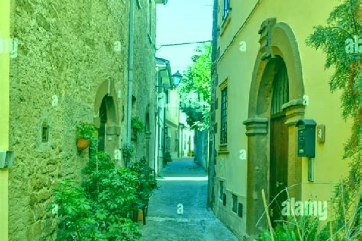 Clara, 39 — Escort in Arnara, Italy