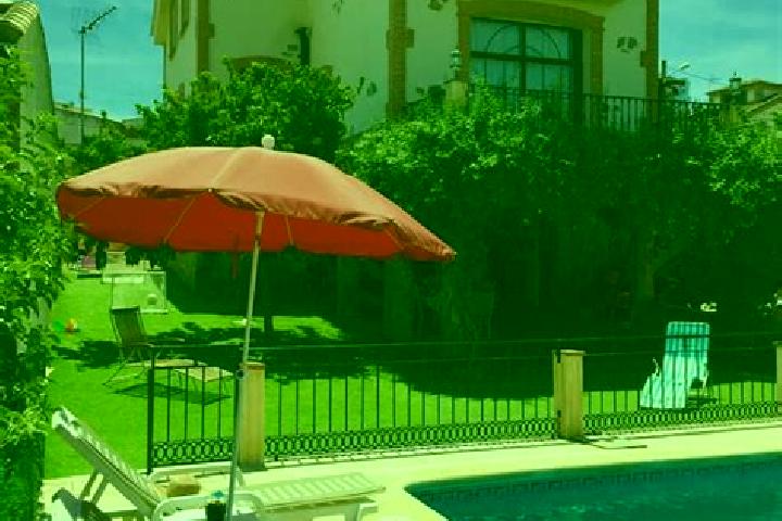 Clara, 39 — Escort in Casas de Don Pedro, Spain
