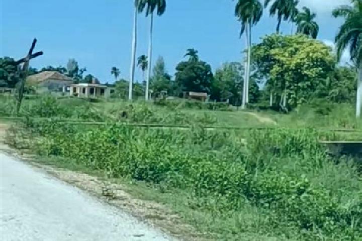 Clara, 39 — Escort in Corralillo, Cuba