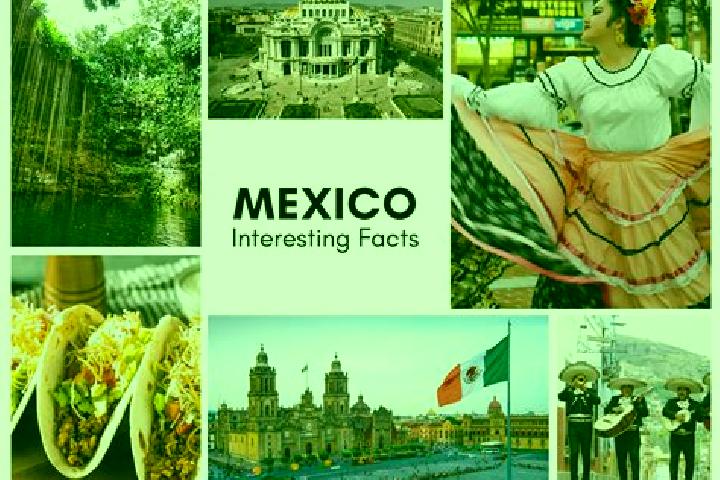 Clara, 39 — Escort in Dangu, Mexico