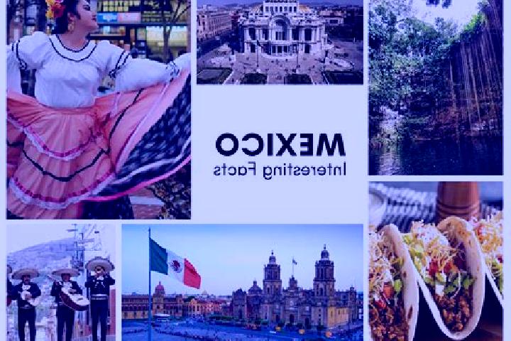 Clara, 39 — Escort in Ixtapantongo, Mexico