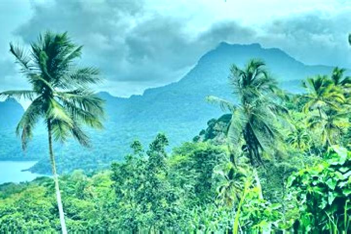 Eleanor, 20, a auburn amber-eyed caribbean companion based in Sao Tome. Offering 69, Party Girl, Dinner Date. Available for incall and outcall, overnight boo...