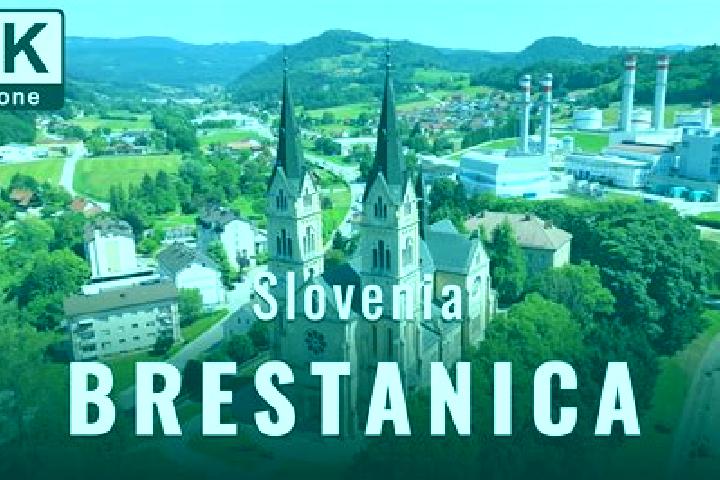 Eleanor, 20 — Escort in Brestanica, Slovenia