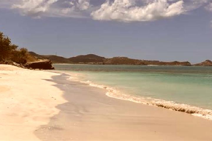 Eleanor, 20 — Escort in Carlisle, Antigua and Barbuda