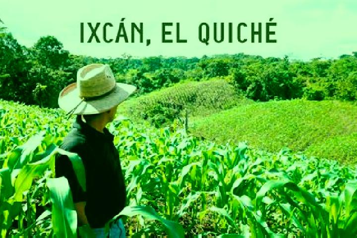 Eleanor, 20 — Escort in El Ixcan, Mexico