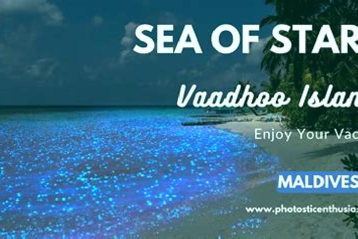 Eleanor, 20 — Escort in Vaadhoo, Maldives
