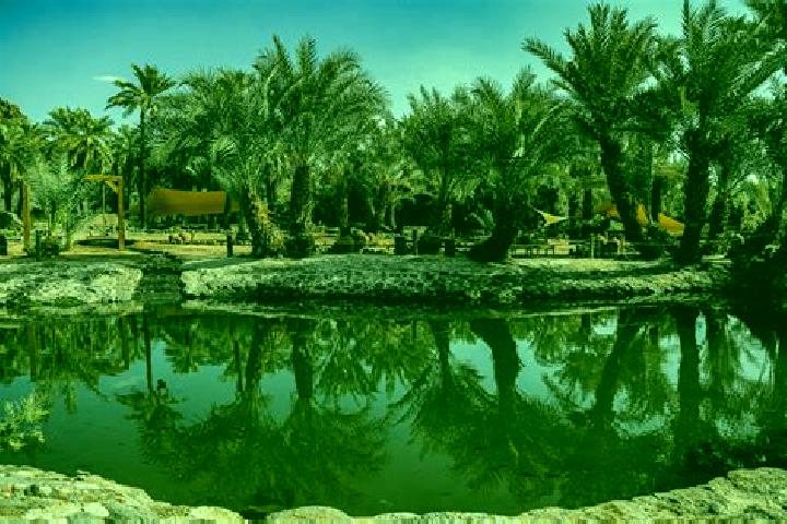 Eleanor, 21, a black blue-eyed mediterranean companion based in Al Qatif. Offering OWO, Girlfriend Experience. Available for incall and outcall, overnight bo...