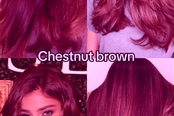 Eleanor, 21, a chestnut blue-eyed indian companion based in Mirabel. Offering GFE, OWO, CIM. Available for incall and outcall, day and evening dates.