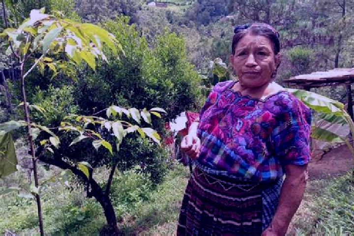 Eleanor, 21 — Escort in Santa Maria Chiquimula, Guatemala