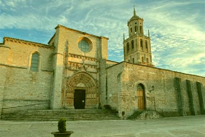 Eleanor, 21 — Escort in Santa Maria del Campo, Spain